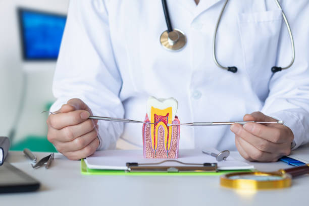 Best Emergency Treatment for Toothache in Wakeeney, KS
